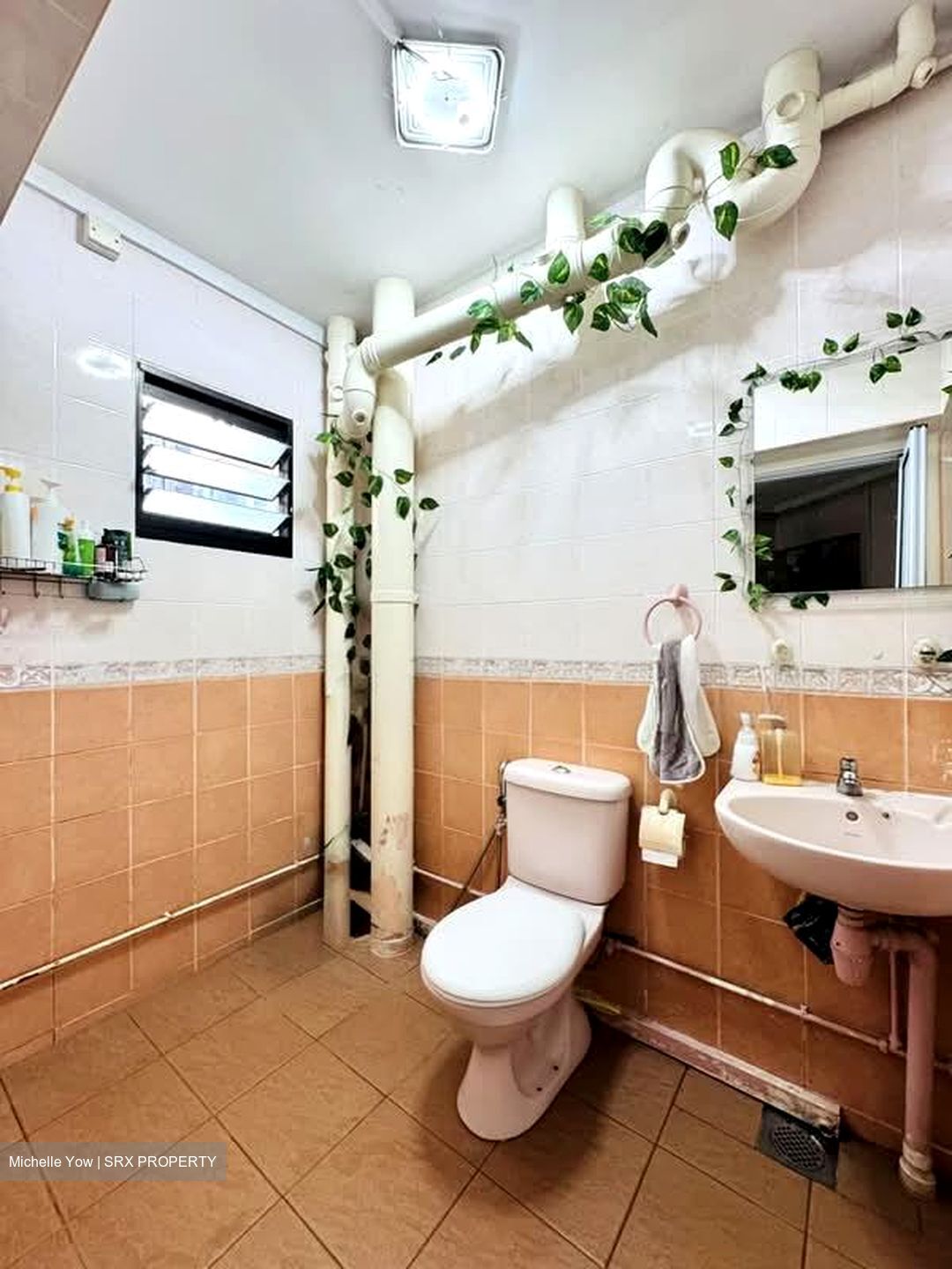 Blk 262A Compassvale Street (Sengkang), HDB 5 Rooms #606752561